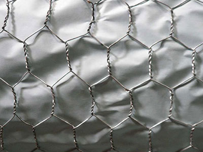 六角擰花網- 安平縣圣森金屬絲網制品