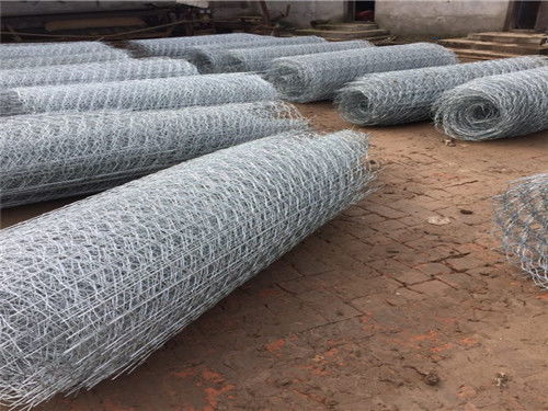 新聞中心 安平縣東潤(rùn)金屬絲網(wǎng)制品